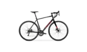 SPORTIF1.3