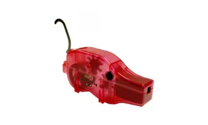 PIG11